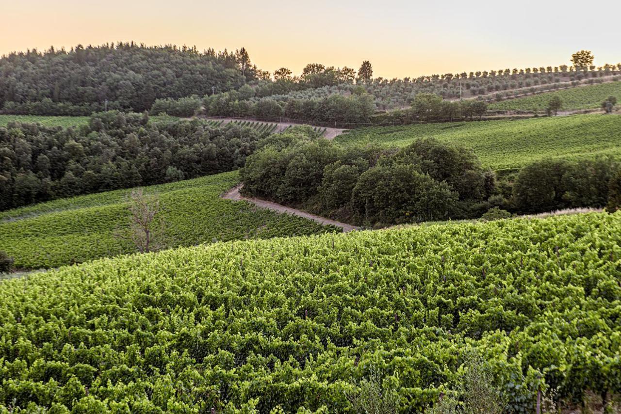 Agriturismo Casa Al Bosco Villa Castellina in Chianti Eksteriør bilde