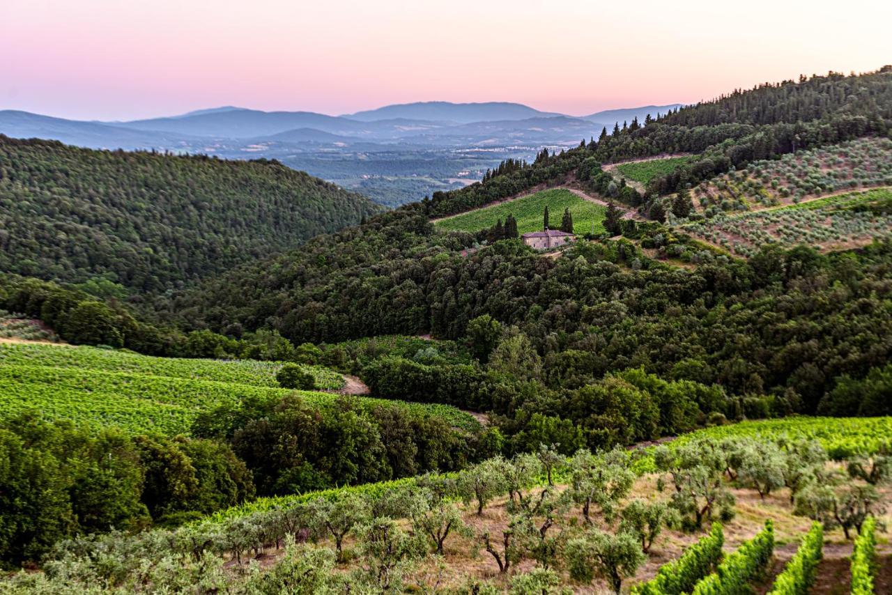 Agriturismo Casa Al Bosco Villa Castellina in Chianti Eksteriør bilde